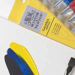 Acrylic Sets