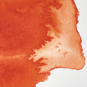 Professional Watercolour - Transparent Orange
