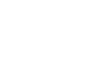 Winsor Newton through the eyes of the artist logo