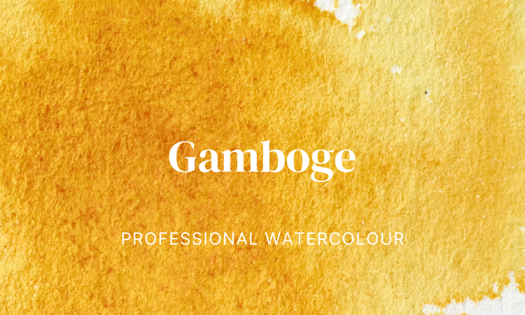 Colour Story: Gamboge – Winsor & Newton NA