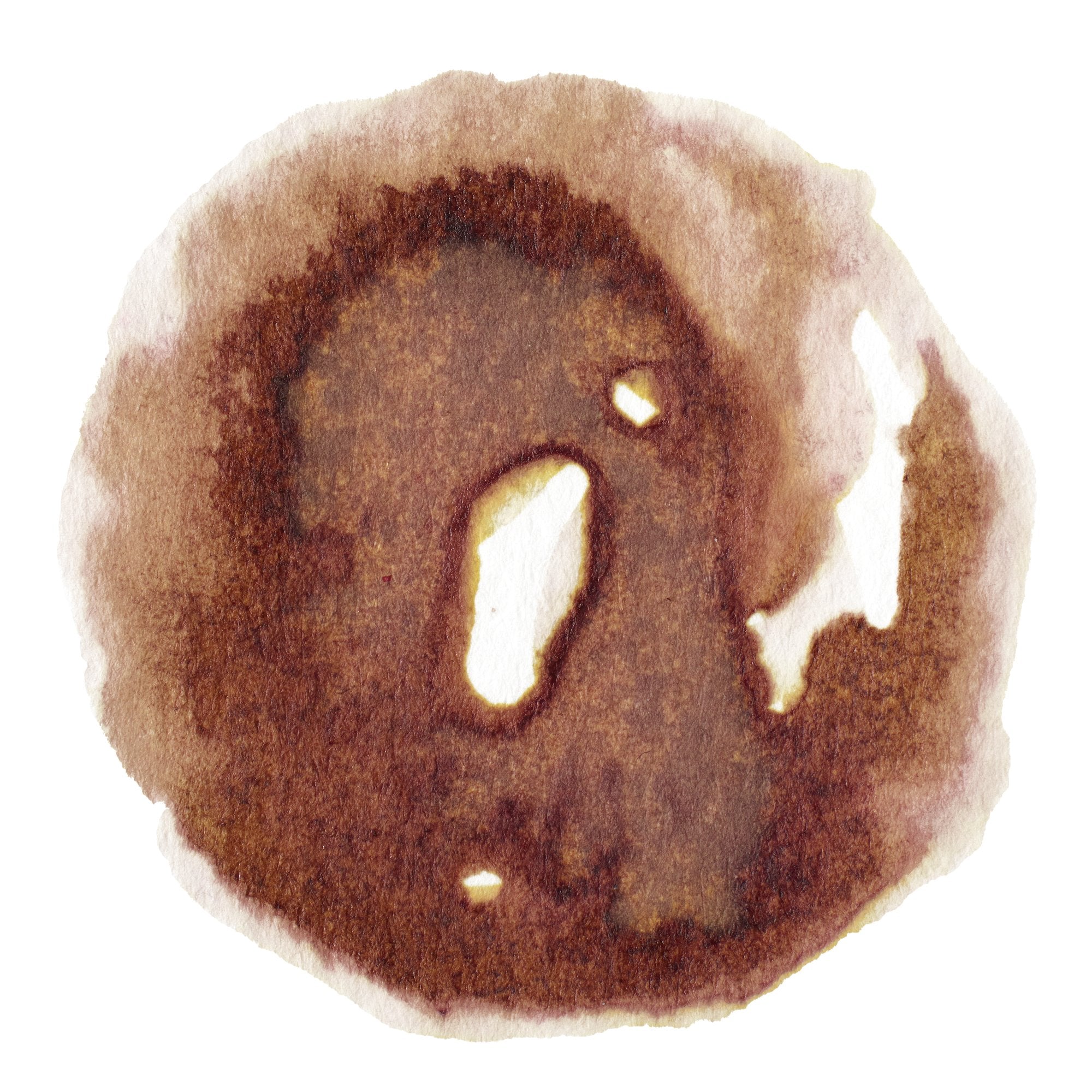 Drawing Ink - Nut Brown – Winsor & Newton NA