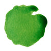 drawing-ink-apple-green