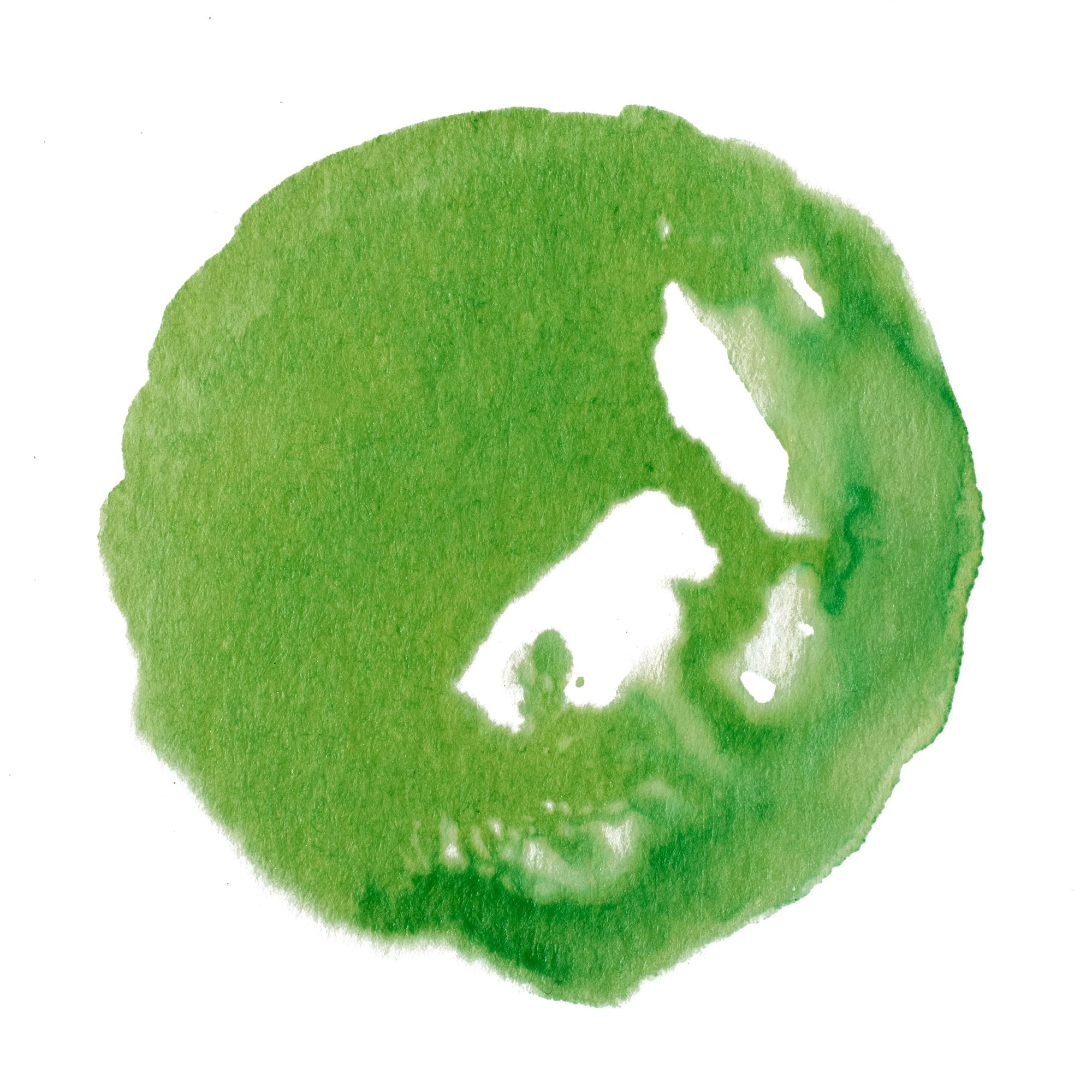 Drawing Ink - Apple Green – Winsor & Newton NA