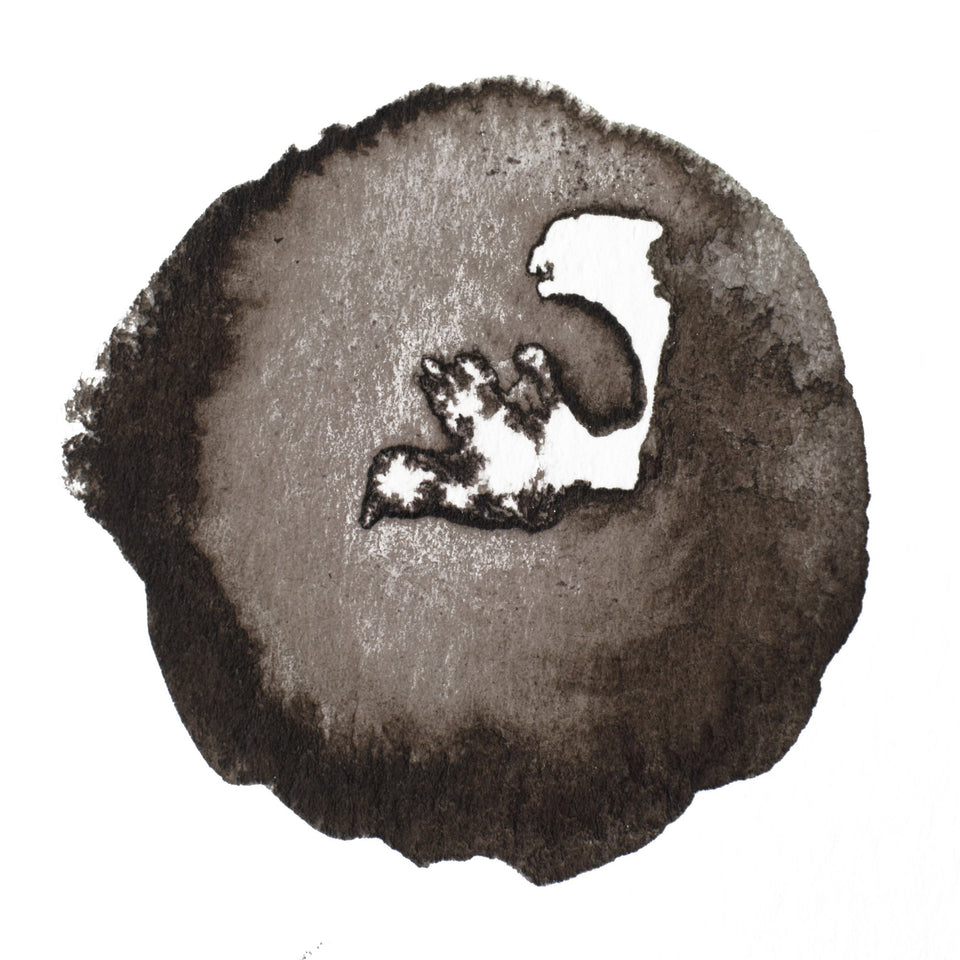 Drawing Ink - Liquid Indian Ink – Winsor & Newton NA