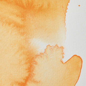 Professional Watercolour - Cadmium Orange