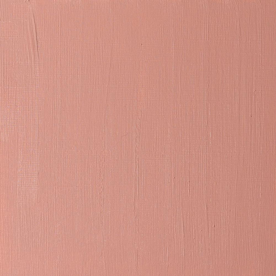 Terra Rosa Raga Artists' Oil Colour - Terra Rosa – Winsor & Newton NA