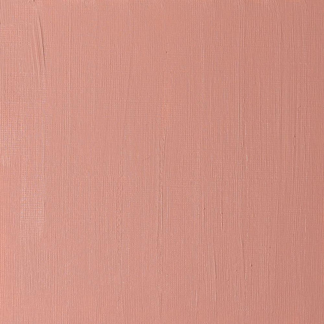 Artists' Oil Colour - Terra Rosa – Winsor & Newton NA