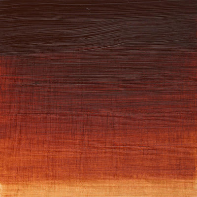 Winsor & Newton Artists' Oil Colour Burnt Sienna swatch