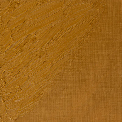 Winsor & Newton Artists' Oil Colour Gold Ochre swatch