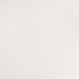 Cotman Watercolour - Chinese White