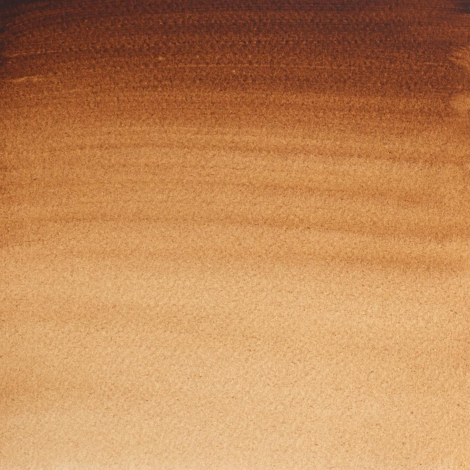 Professional Watercolour - Burnt Umber – Winsor & Newton NA